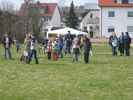 IMG_1267.jpg 71.47 KB