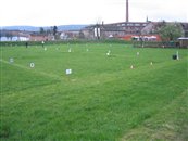 oster2010_01_2066.jpg 48.43 KB