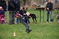 oster2010_100_0053.jpg 61.35 KB