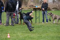 oster2010_100_0054.jpg 65.71 KB