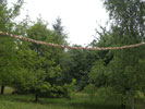 R07140CIMG4127.jpg 71.83 KB
