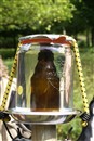 rjr2010sp_100_0035.jpg 56.45 KB