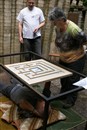 rjr2010sp_100_0038.jpg 65.49 KB
