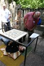 rjr2010sp_100_0045.jpg 78.49 KB